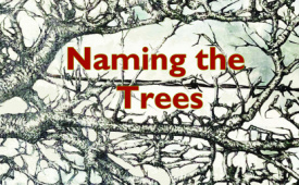 Image - Naming the Trees Book Launch, Online